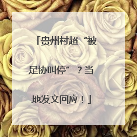 贵州村超“被足协叫停”？当地发文回应！