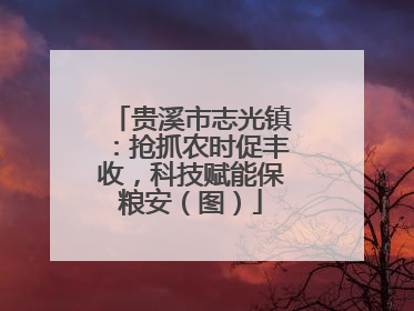 贵溪市志光镇：抢抓农时促丰收，科技赋能保粮安（图）