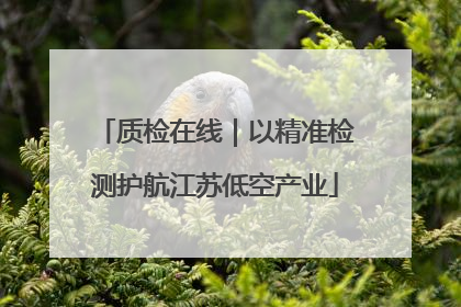 质检在线｜以精准检测护航江苏低空产业