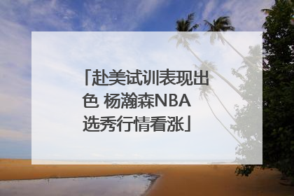 赴美试训表现出色 杨瀚森NBA选秀行情看涨