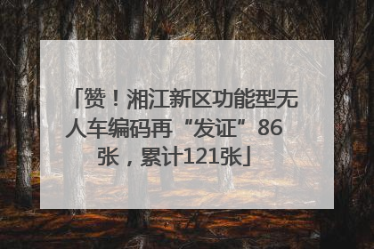 赞！湘江新区功能型无人车编码再“发证”86张，累计121张