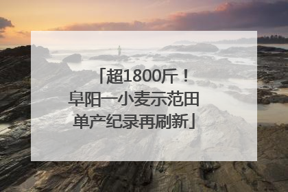 超1800斤！阜阳一小麦示范田单产纪录再刷新