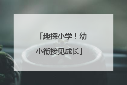 趣探小学！幼小衔接见成长