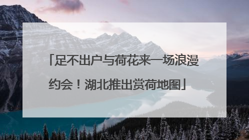 足不出户与荷花来一场浪漫约会！湖北推出赏荷地图