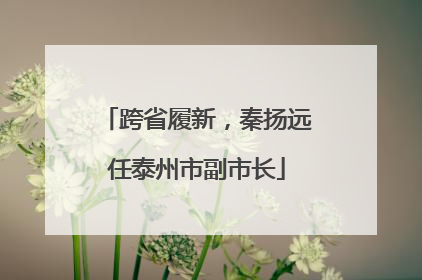 跨省履新，秦扬远任泰州市副市长