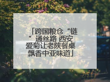 跨国粮仓“链”通丝路 西安爱菊让老陕餐桌飘香中亚味道