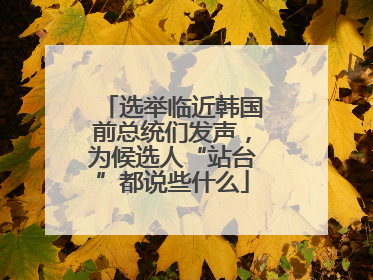 选举临近韩国前总统们发声，为候选人“站台”都说些什么