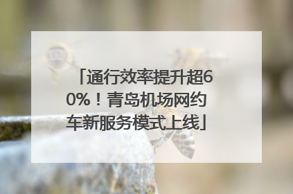 通行效率提升超60%！青岛机场网约车新服务模式上线