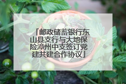 邮政储蓄银行东山县支行与大地保险漳州中支签订党建共建合作协议