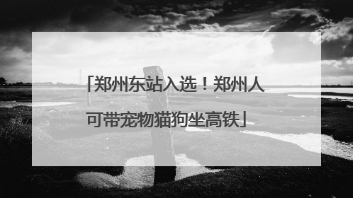 郑州东站入选！郑州人可带宠物猫狗坐高铁