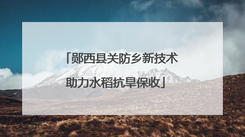 郧西县关防乡新技术助力水稻抗旱保收
