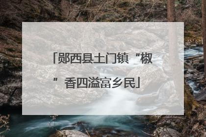 郧西县土门镇“椒”香四溢富乡民