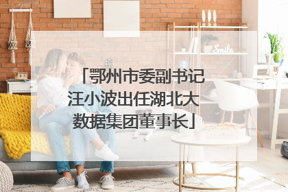 鄂州市委副书记汪小波出任湖北大数据集团董事长