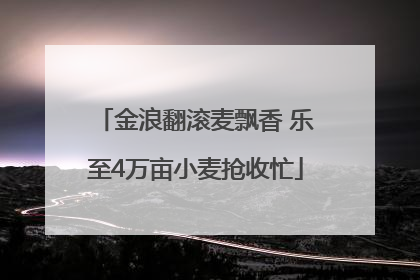 金浪翻滚麦飘香 乐至4万亩小麦抢收忙