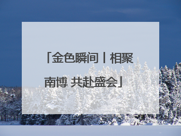 金色瞬间丨相聚南博 共赴盛会