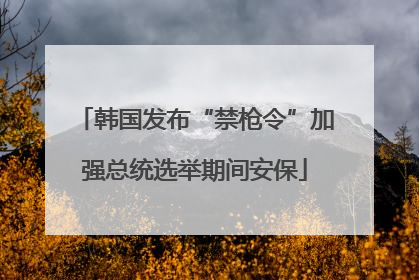 韩国发布“禁枪令”加强总统选举期间安保