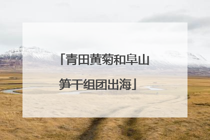 青田黄菊和阜山笋干组团出海