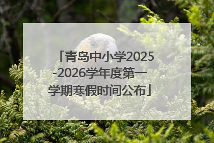 青岛中小学2025-2026学年度第一学期寒假时间公布