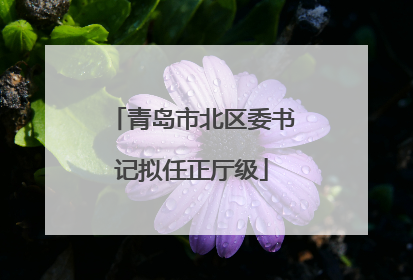 青岛市北区委书记拟任正厅级