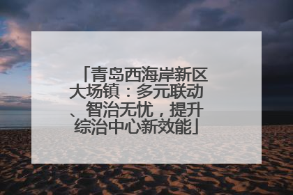 青岛西海岸新区大场镇：多元联动、智治无忧，提升综治中心新效能