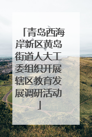 青岛西海岸新区黄岛街道人大工委组织开展辖区教育发展调研活动