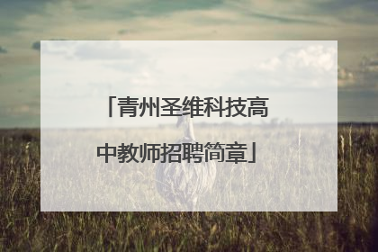 青州圣维科技高中教师招聘简章