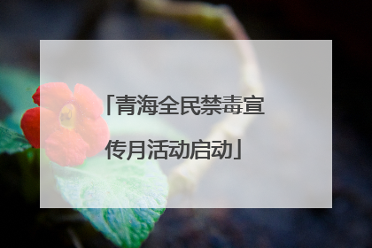 青海全民禁毒宣传月活动启动