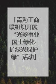 青海工商联组织开展“光彩事业国土绿化·扩绿兴绿护绿”活动
