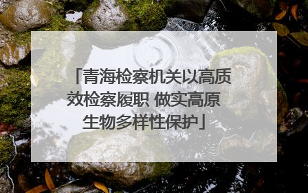 青海检察机关以高质效检察履职 做实高原生物多样性保护