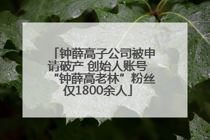 钟薛高子公司被申请破产 创始人账号“钟薛高老林”粉丝仅1800余人