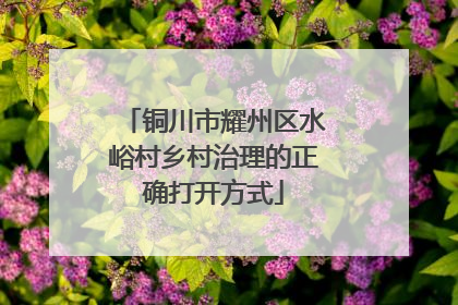 铜川市耀州区水峪村乡村治理的正确打开方式