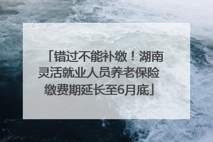 错过不能补缴！湖南灵活就业人员养老保险缴费期延长至6月底