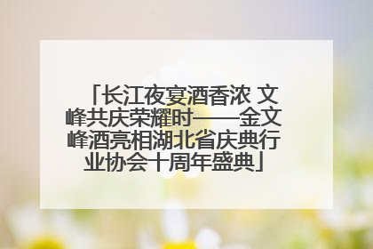 长江夜宴酒香浓 文峰共庆荣耀时——金文峰酒亮相湖北省庆典行业协会十周年盛典