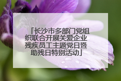 长沙市多部门党组织联合开展关爱企业残疾员工主题党日暨助残日特别活动