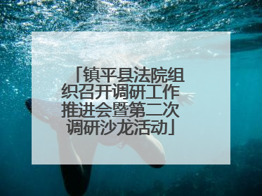 镇平县法院组织召开调研工作推进会暨第二次调研沙龙活动