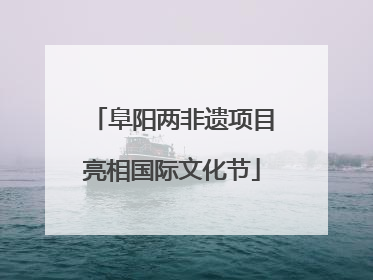 阜阳两非遗项目亮相国际文化节