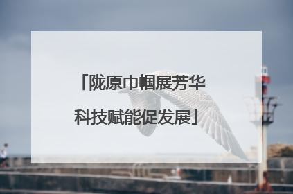陇原巾帼展芳华 科技赋能促发展
