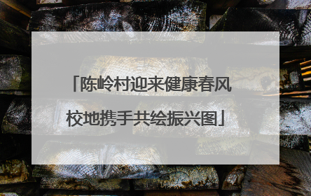 陈岭村迎来健康春风 校地携手共绘振兴图