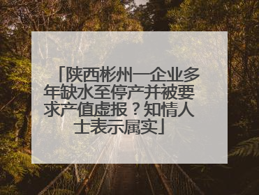 陕西彬州一企业多年缺水至停产并被要求产值虚报？知情人士表示属实