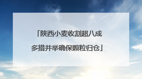 陕西小麦收割超八成 多措并举确保颗粒归仓