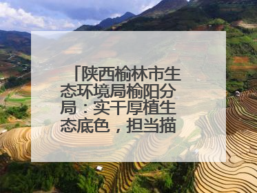 陕西榆林市生态环境局榆阳分局：实干厚植生态底色，担当描绘绿色答卷