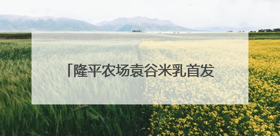 隆平农场袁谷米乳首发亮相中非经贸博览会“味道湖南”美食市集
