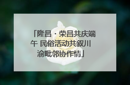 隆昌・荣昌共庆端午 民俗活动共叙川渝毗邻协作情