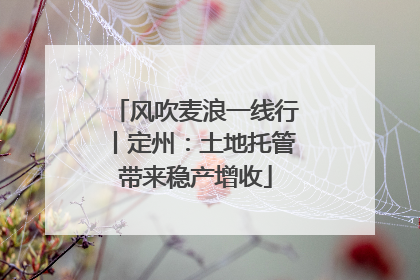 风吹麦浪一线行丨定州：土地托管带来稳产增收