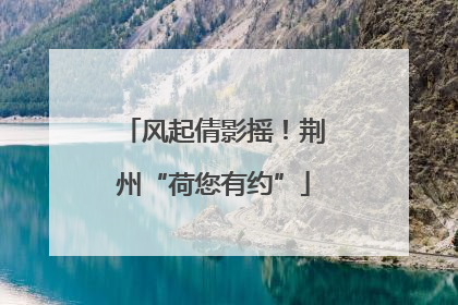 风起倩影摇！荆州“荷您有约”