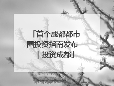 首个成都都市圈投资指南发布｜投资成都