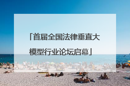 首届全国法律垂直大模型行业论坛启幕