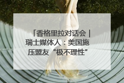 香格里拉对话会｜瑞士媒体人：美国施压盟友“极不理性” 欧洲国家无意与中国“脱钩断链”