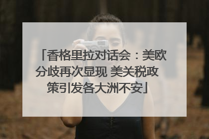 香格里拉对话会：美欧分歧再次显现 美关税政策引发各大洲不安
