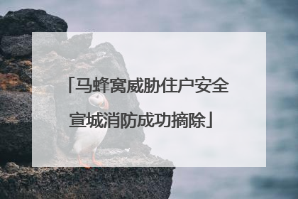 马蜂窝威胁住户安全 宣城消防成功摘除